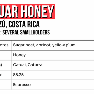 Image of Whole bean, Jaguar Honey, Costa Rica, Jolt - 2