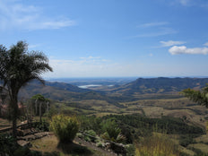 Café moulu, 1936, Brésil, Knopes