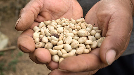 Café moulu, Colombie Suukala