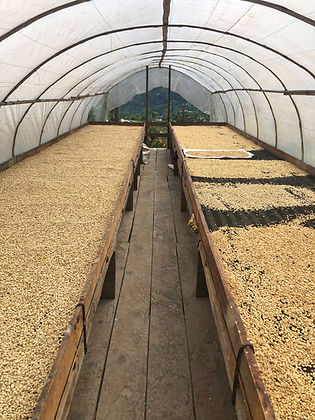 Ground coffee, Colombia Suukala