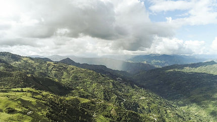 Café en grain, Colombie Suukala