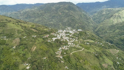 Whole bean, Colombia Suukala