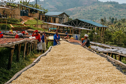 Ground coffee, Rwanda Horizon