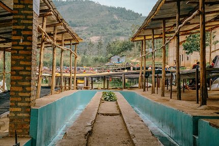 Café moulu, Rwanda Horizon