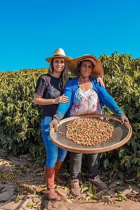 Whole bean, 1936, Brazil