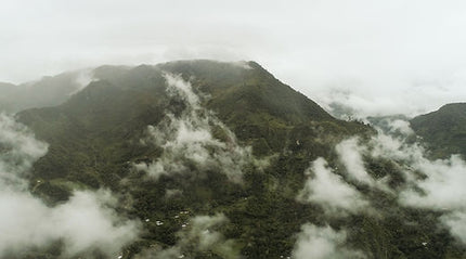 Café moulu, Colombie Suukala