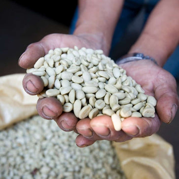 Image of Whole bean, Mingle Blend, Woodster - 3