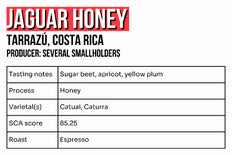 Whole bean, Jaguar Honey, Costa Rica, Jolt