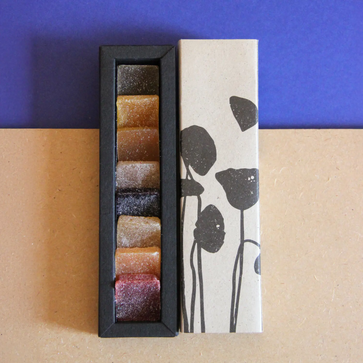 Image of Coffret, pâtes de fruits 8 pièces, Chocolaterie RG - 1