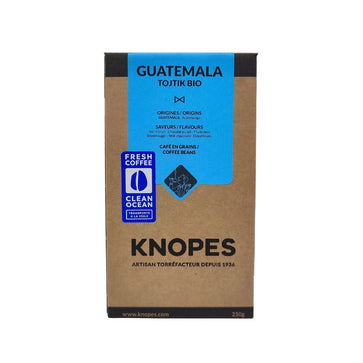 Image of Café en grain, Tojtik Bio, Guatemala - 1