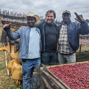 Image of Ground coffee, kokose, Ethiopia, Knopes - 2