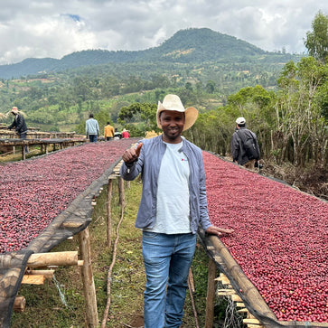 Image of Ground coffee, kokose, Ethiopia, Knopes - 4