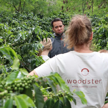Image of Whole bean, Maison Javanaise, Indonesia, Woodster - 3