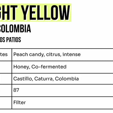 Image of Café en grain, Bright Yellow, Colombie, Jolt - 2