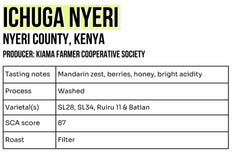 Café en grain, Ichuga Nyeri, Kenya, Jolt