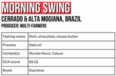 Café en grain, Morning Swing, Brésil, Jolt