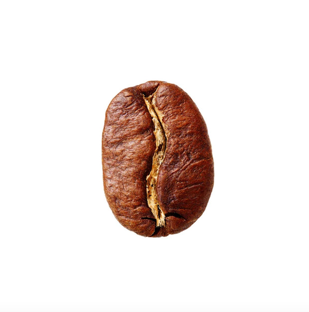 learn about the various types of beans - roastercup