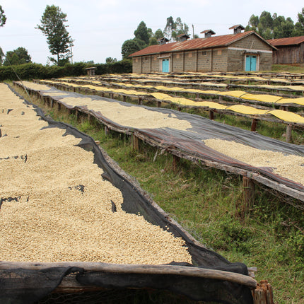 Ground coffee, Kii AB, Kenya