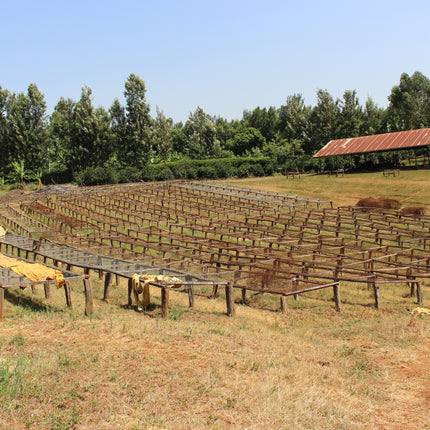 Ground coffee, Kii AB, Kenya