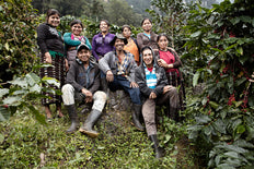 Café moulu, café de Noël, Guatemala La Bolsa, Knopes