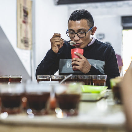 Café en grain, Las Perlitas, Colombie