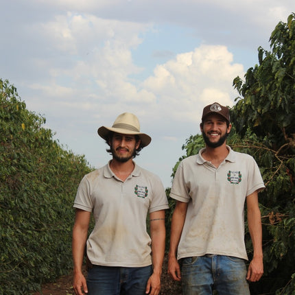 Ground coffee, Piao Morro, Brazil