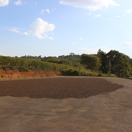 Ground coffee, Piao Morro, Brazil