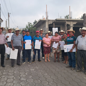 Image of Café en grain, Tojtik Bio, Guatemala - 2