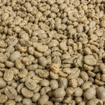 Image of Whole bean, Filter, Colombia El Oasis Gesha, Unity Coffee - 4