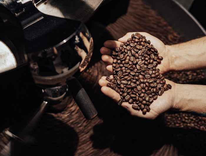 Discover the World of Quality Coffee at Roastercup
