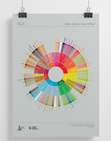 La roue des saveurs du dégustateur de café